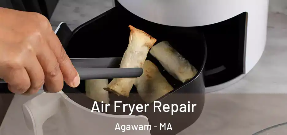 Air Fryer Repair Agawam - MA