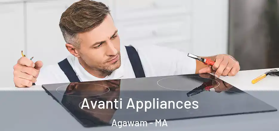 Avanti Appliances Agawam - MA