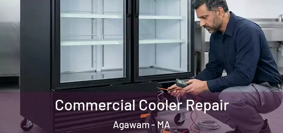 Commercial Cooler Repair Agawam - MA