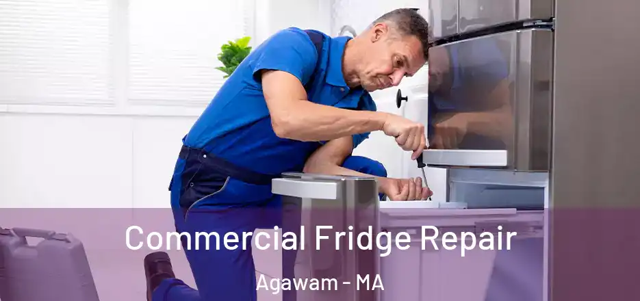 Commercial Fridge Repair Agawam - MA