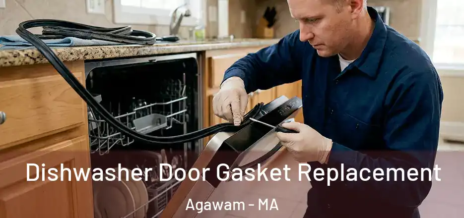 Dishwasher Door Gasket Replacement Agawam - MA