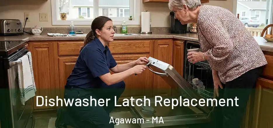 Dishwasher Latch Replacement Agawam - MA