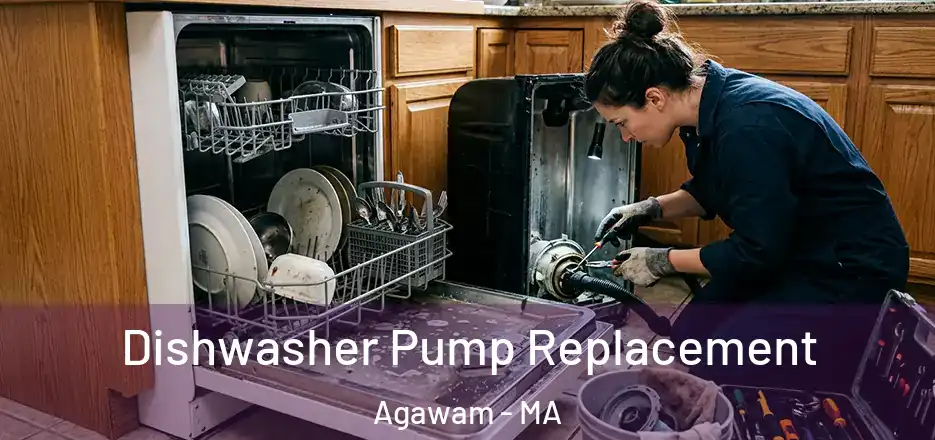 Dishwasher Pump Replacement Agawam - MA