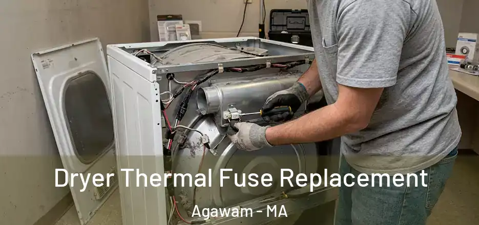 Dryer Thermal Fuse Replacement Agawam - MA