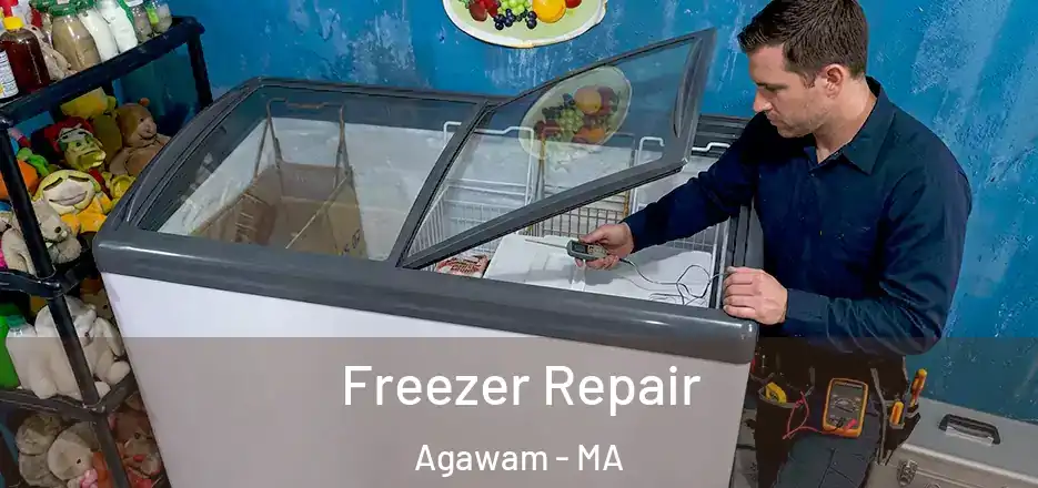Freezer Repair Agawam - MA