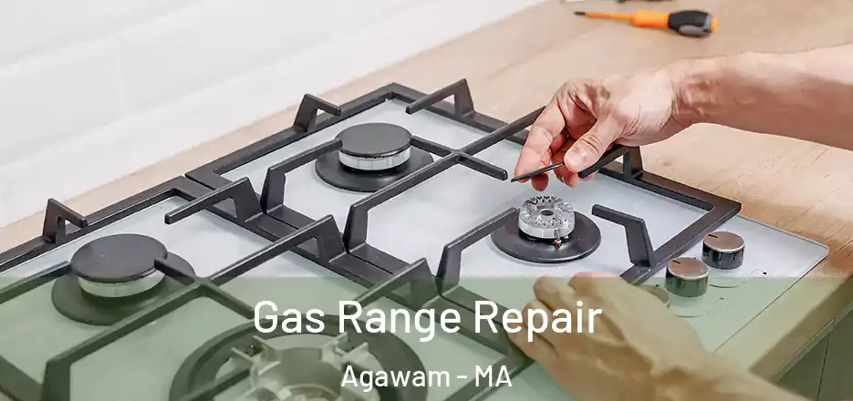 Gas Range Repair Agawam - MA