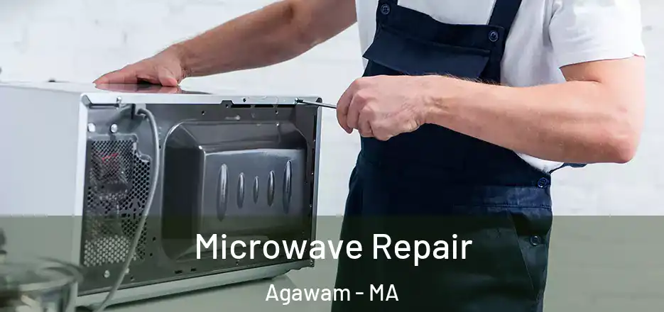  Microwave Repair Agawam - MA