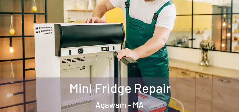 Mini Fridge Repair Agawam - MA